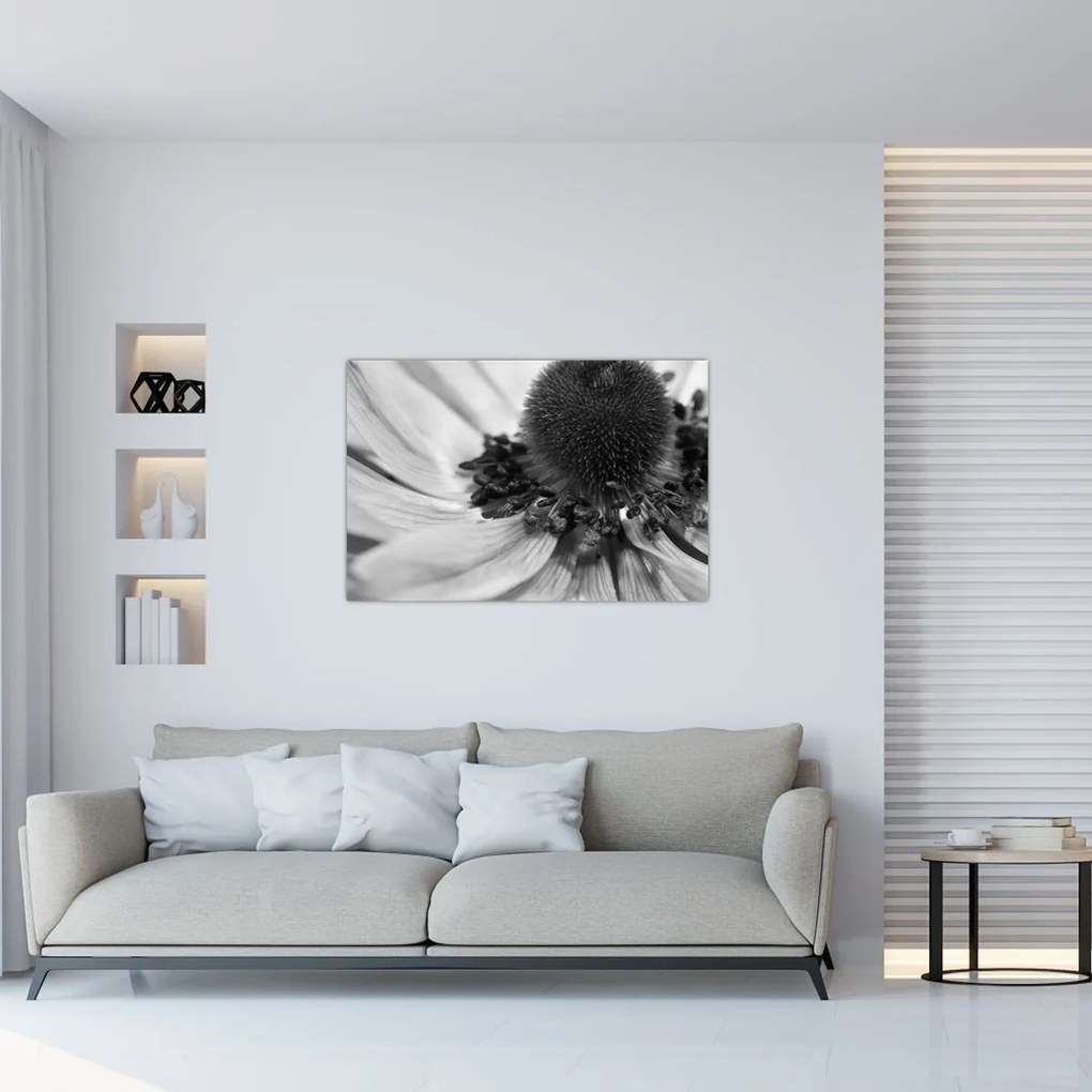 Obraz - Kvetina v čiernobielej (90x60 cm)