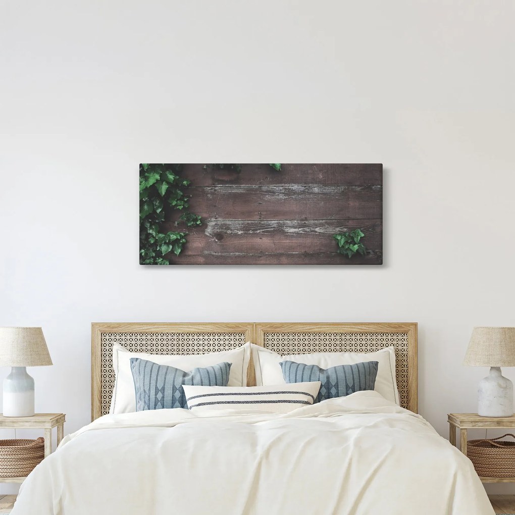 Obraz - Brečtan (120x50 cm)