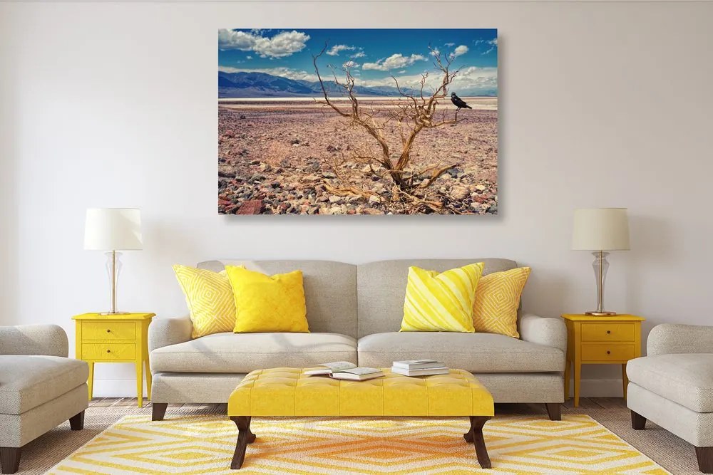 Obraz krajina sucha - 120x80