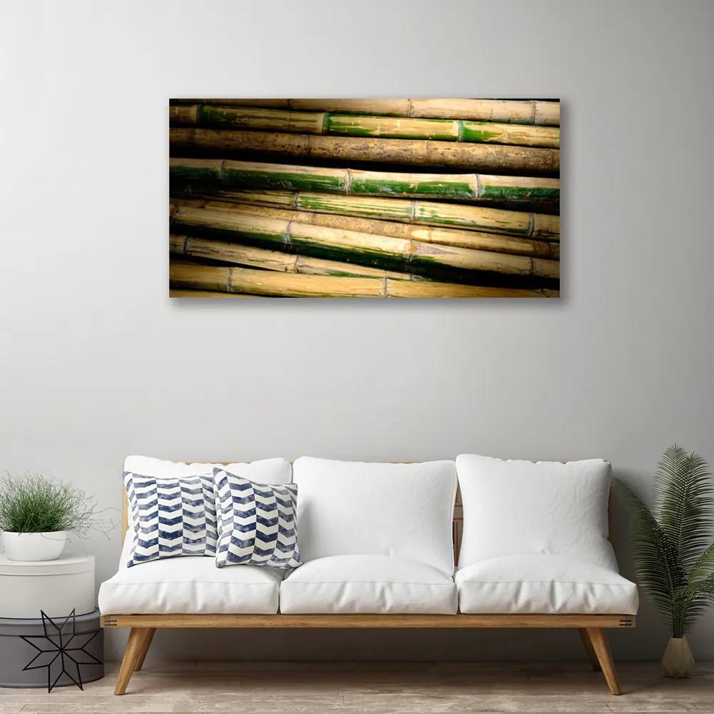 Obraz na plátne Bambus rastlina príroda 120x60 cm