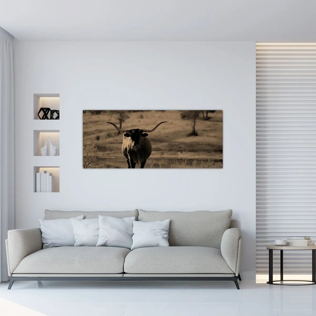 Obraz - Texaská krava (120x50 cm)