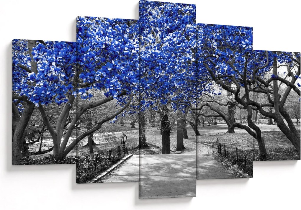 Obrázok - Modré stromy, Central Park, New York (150x105 cm)