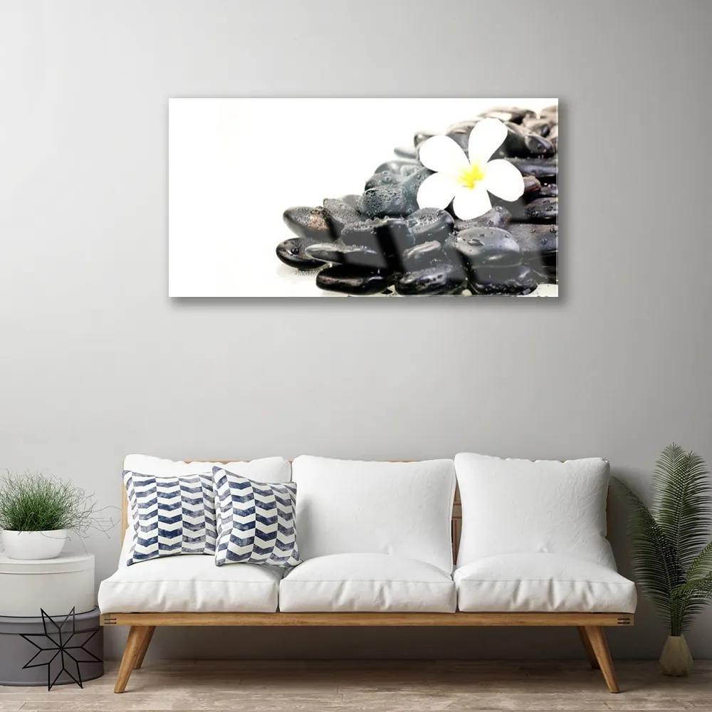 Skleneny obraz Kvety kamene umenie 120x60 cm