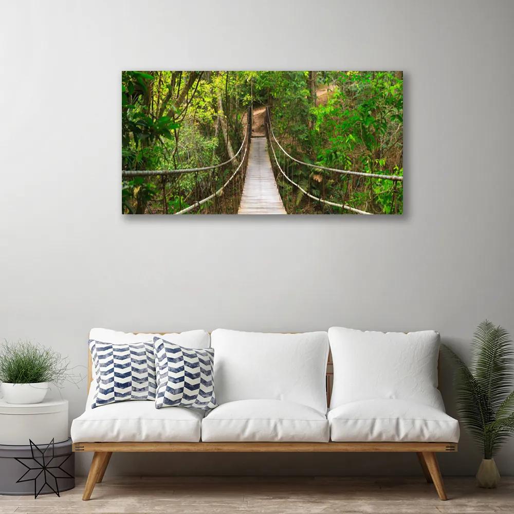 Obraz Canvas Most džungľa tropický les 120x60 cm