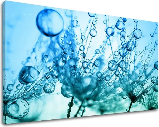 Obraz na stenu KVETY KV060E11 - 20x30 cm