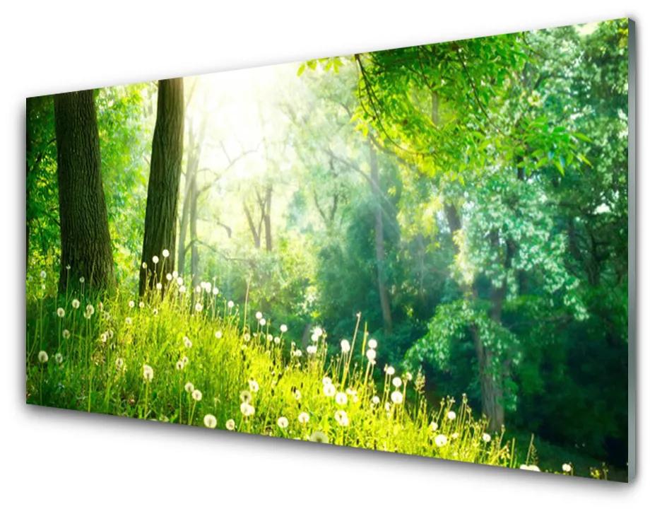 Skleneny obraz Lúka príroda rastlina 100x50 cm