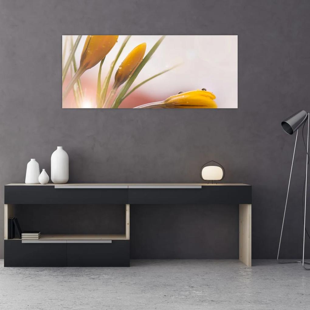 Obraz - Jarné kvety (120x50 cm)