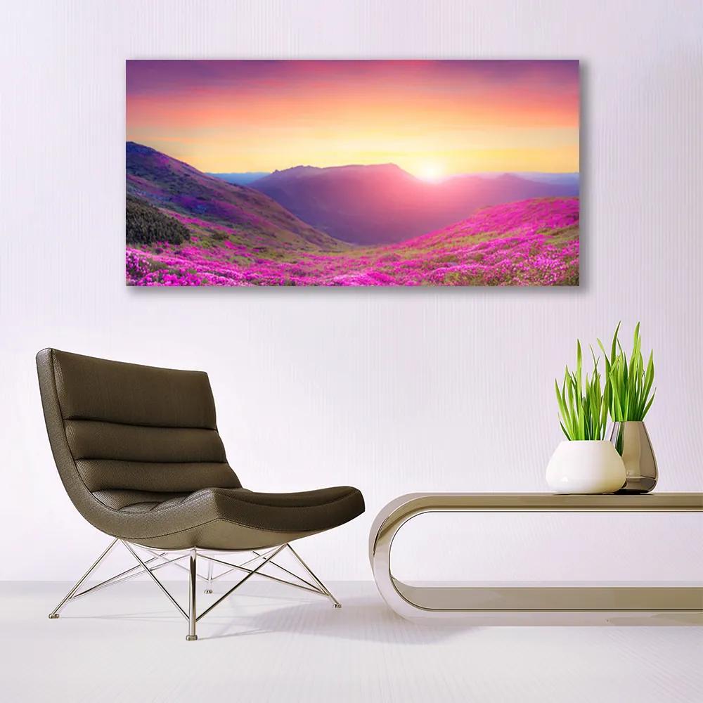 Obraz plexi Slnko hory lúka príroda 120x60 cm