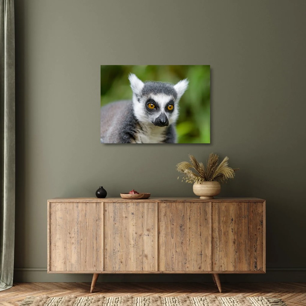Sklenený obraz lemura (70x50 cm)