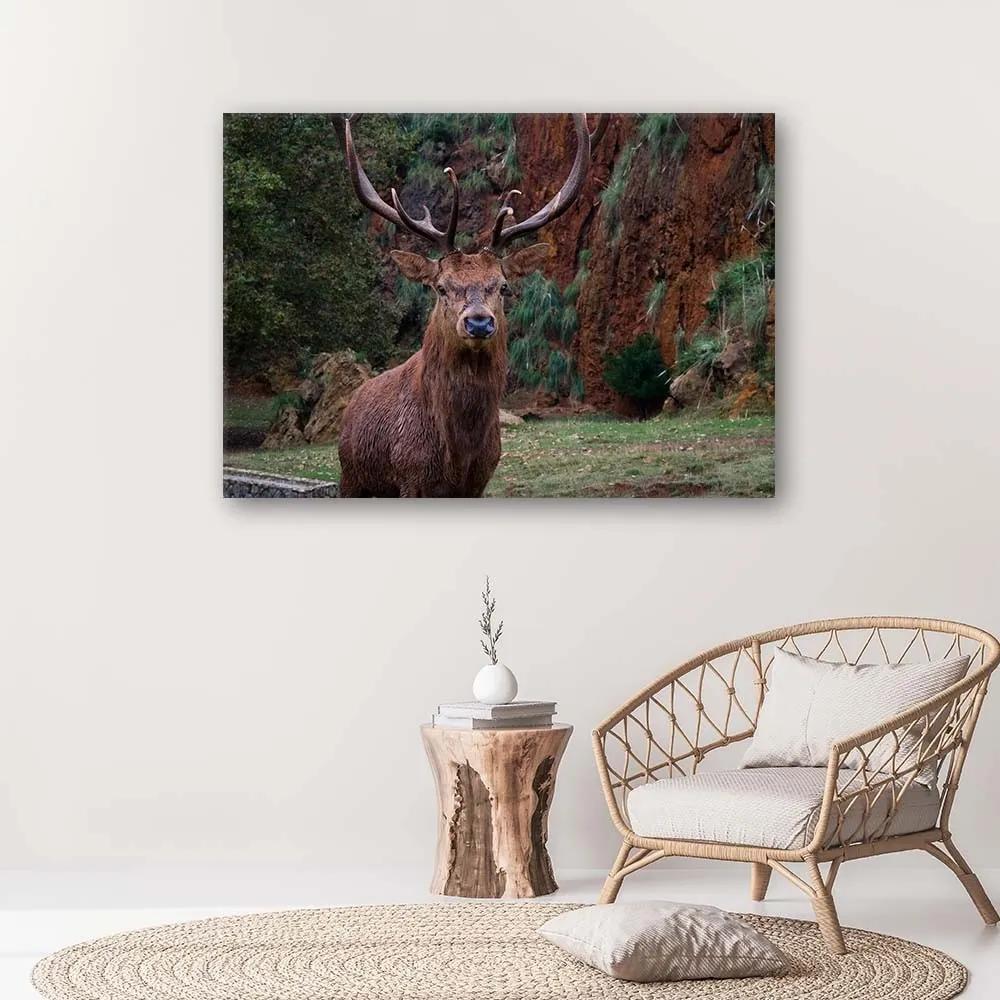 Obraz na plátně Jelen v lese Příroda Zvířata - 120x80 cm