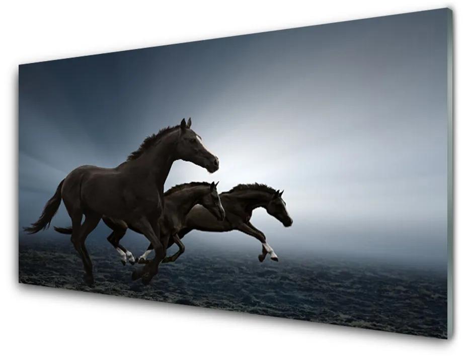 Nástenný panel  Kone zvieratá 100x50 cm