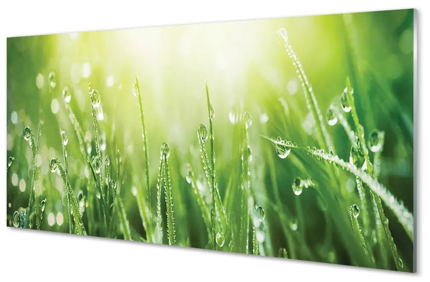 Obraz na skle Tráva slnko kvapky 100x50cm