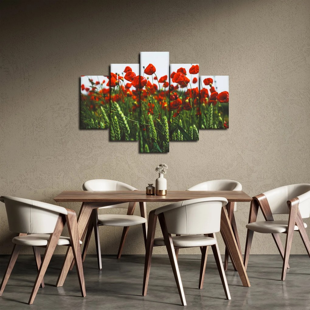 Obraz vlčích makov vo vetre (150x105 cm)