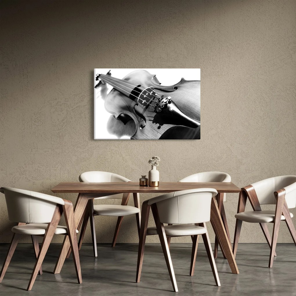 Obraz - Husle (90x60 cm)