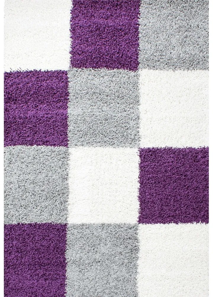 Fialovo-sivý koberec 160x230 cm Life – Ayyildiz Carpets