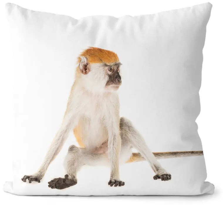 Vankúš Opičiak (Veľkosť: 55 x 55 cm)