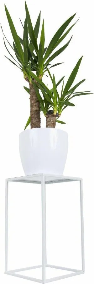 STOJAN NA KVETINÁČ SIMPLE 40X24X24 CM BIELA