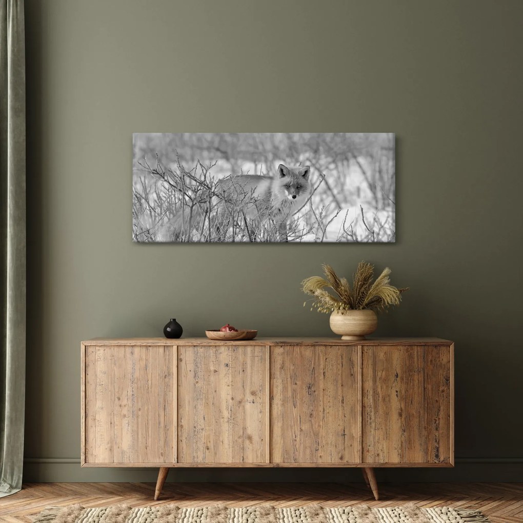 Obraz - Lišiak, čiernobiela (120x50 cm)