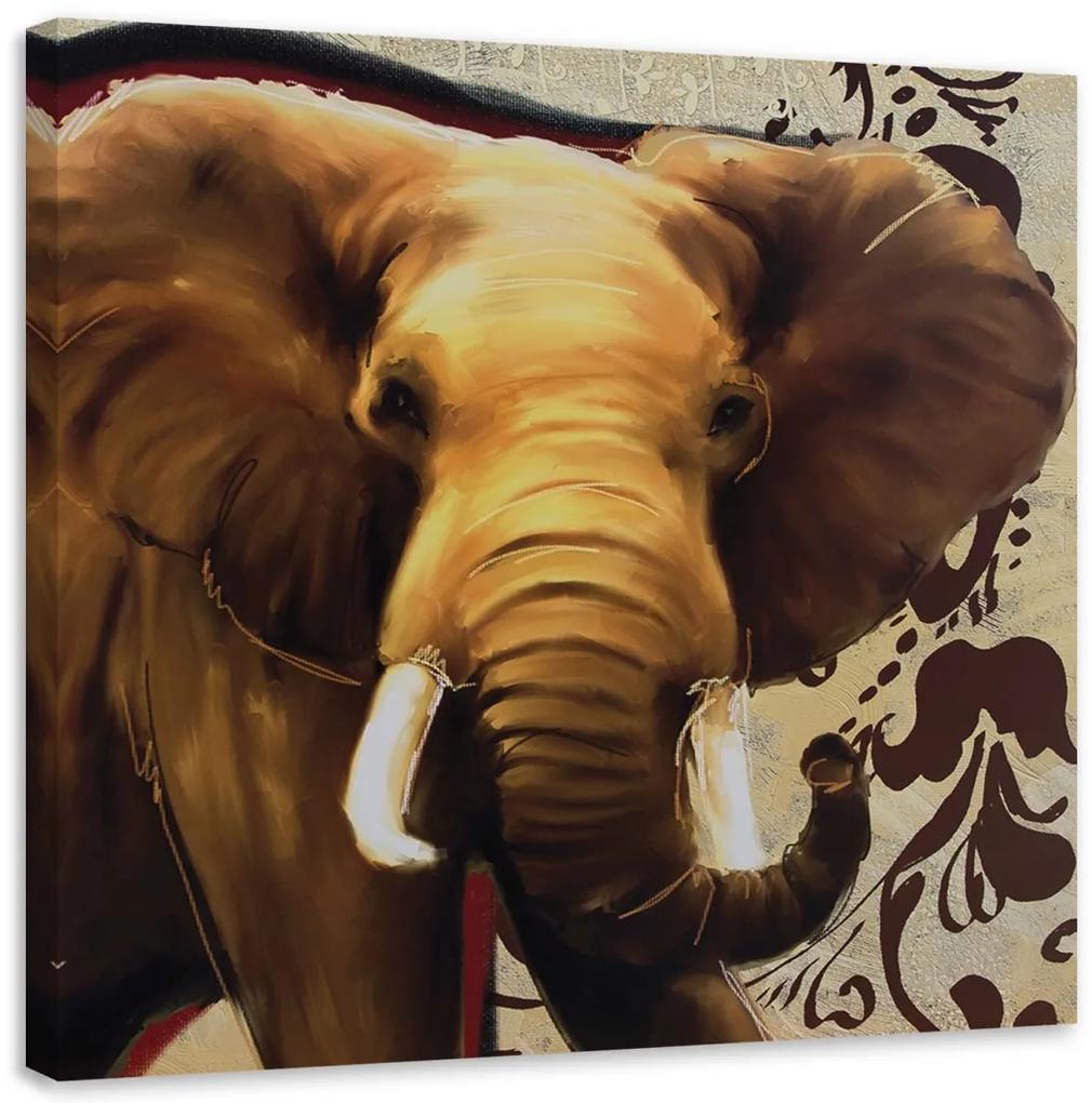 Obraz na plátně Slon Afrika Zvíře - 60x60 cm
