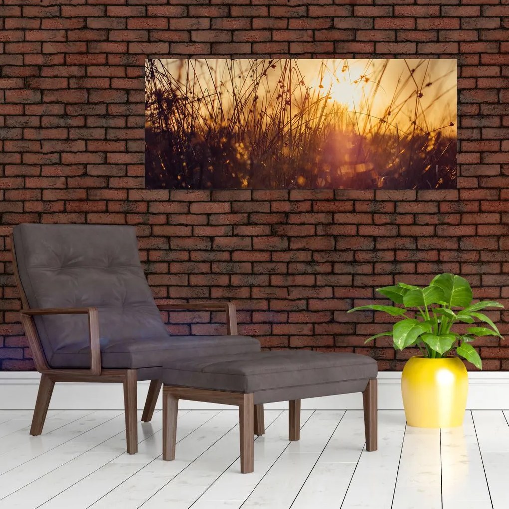 Obraz poľa pri západe slnka (120x50 cm)