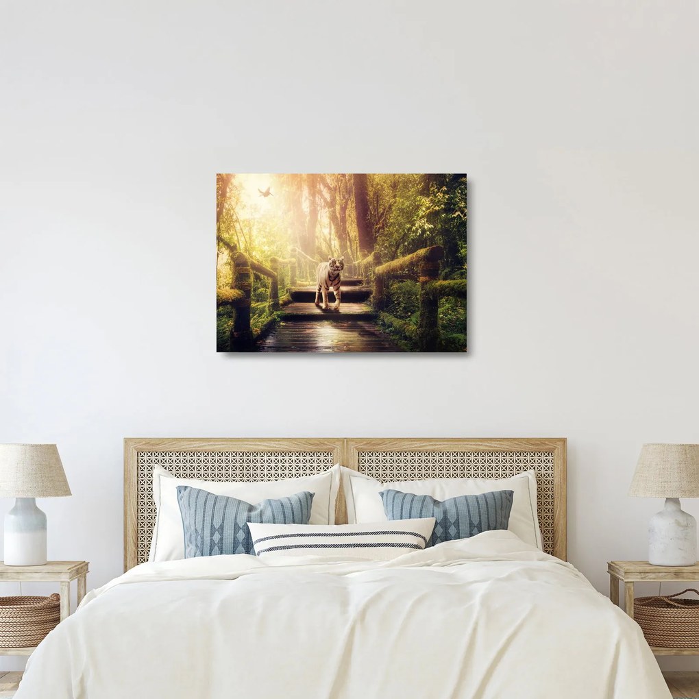 Sklenený obraz tigra (70x50 cm)