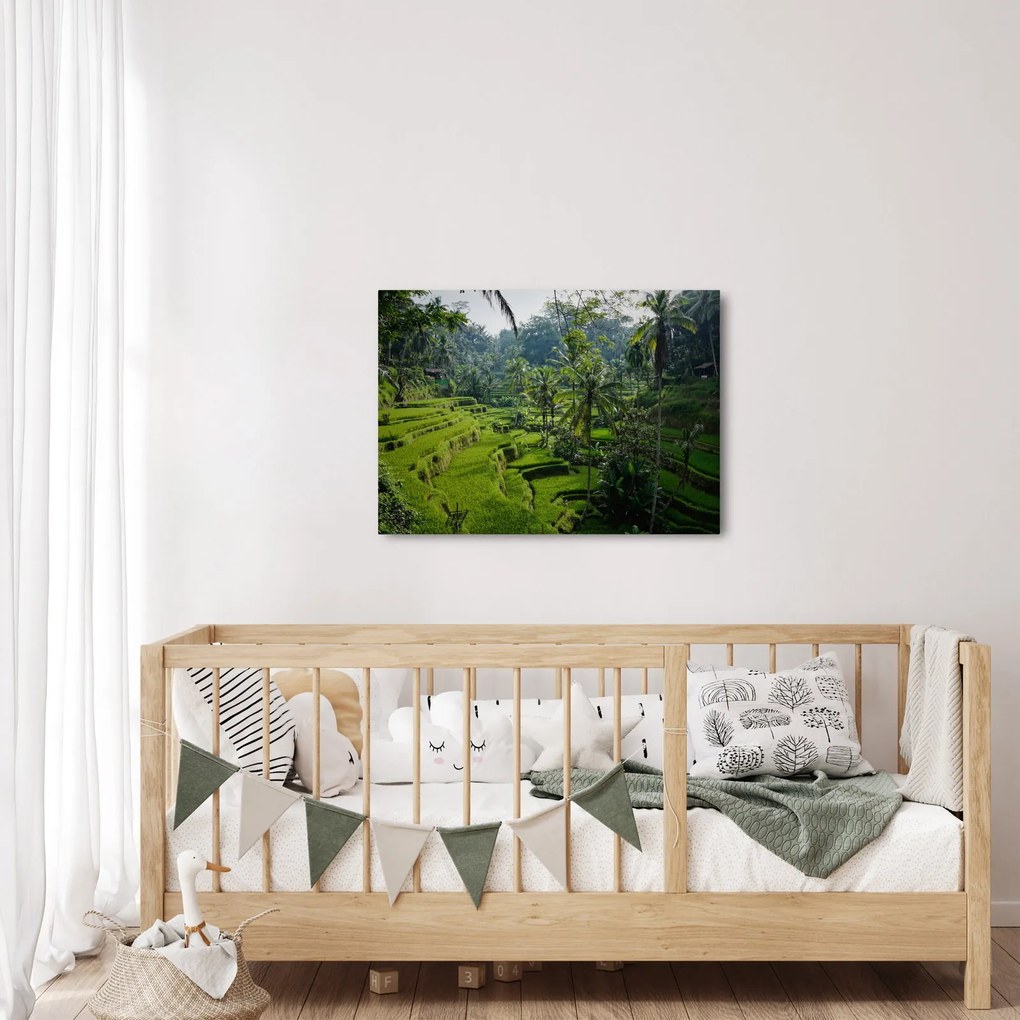 Obraz ryžových terás Tegalalang, Bali (70x50 cm)