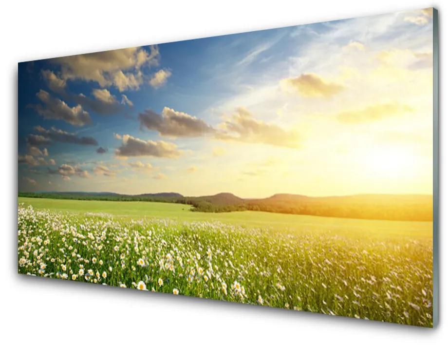 Obraz plexi Lúka kvety príroda 125x50 cm