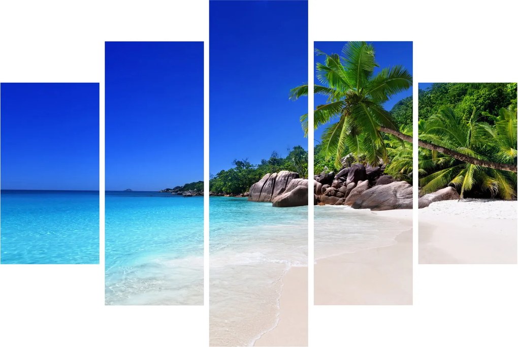 Obraz pláže na Praslin ostrove (150x105 cm)