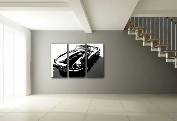 Ručne maľovaný POP Art obraz JAGUAR | rôzne rozmery