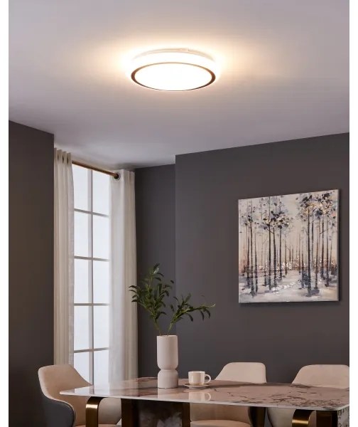 Eglo 900149 - LED Stropné svietidlo CAPASSO LED/14,6W/230V