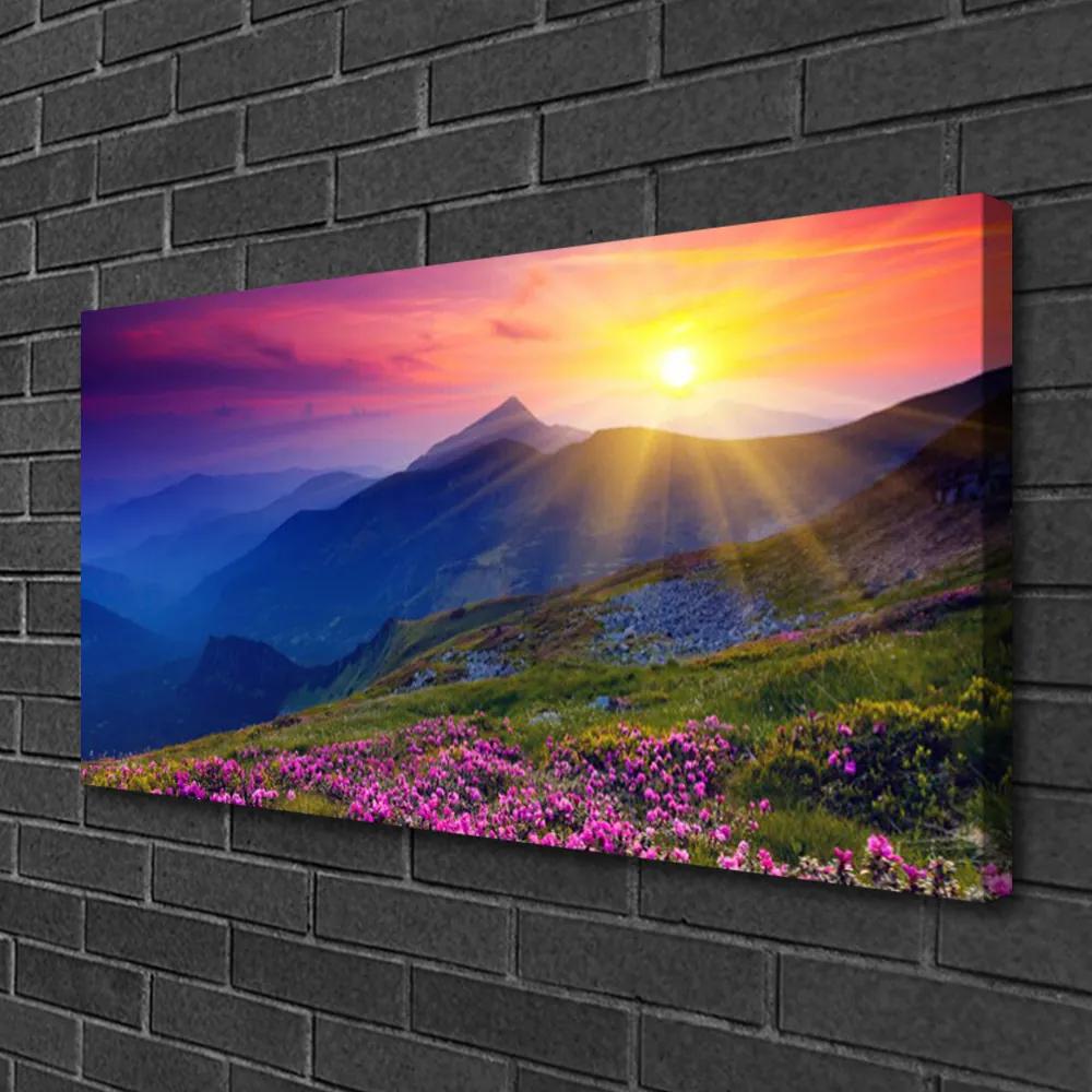 Obraz na plátne Hory kvet lúka krajina 120x60 cm
