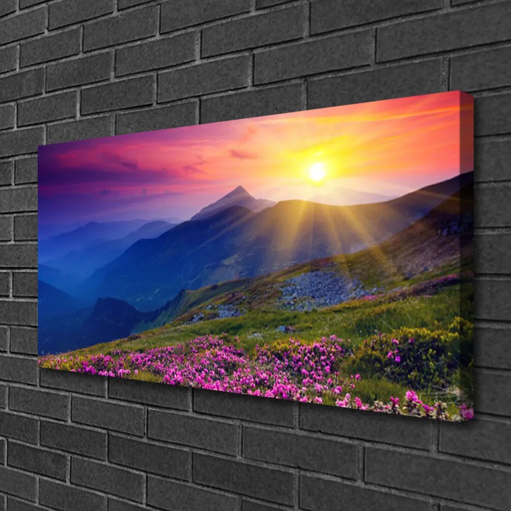 Obraz na plátne Hory kvet lúka krajina 125x50 cm