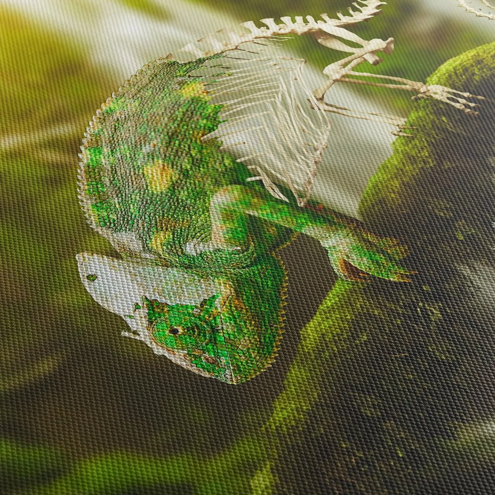 Obraz chameleóna (120x50 cm)