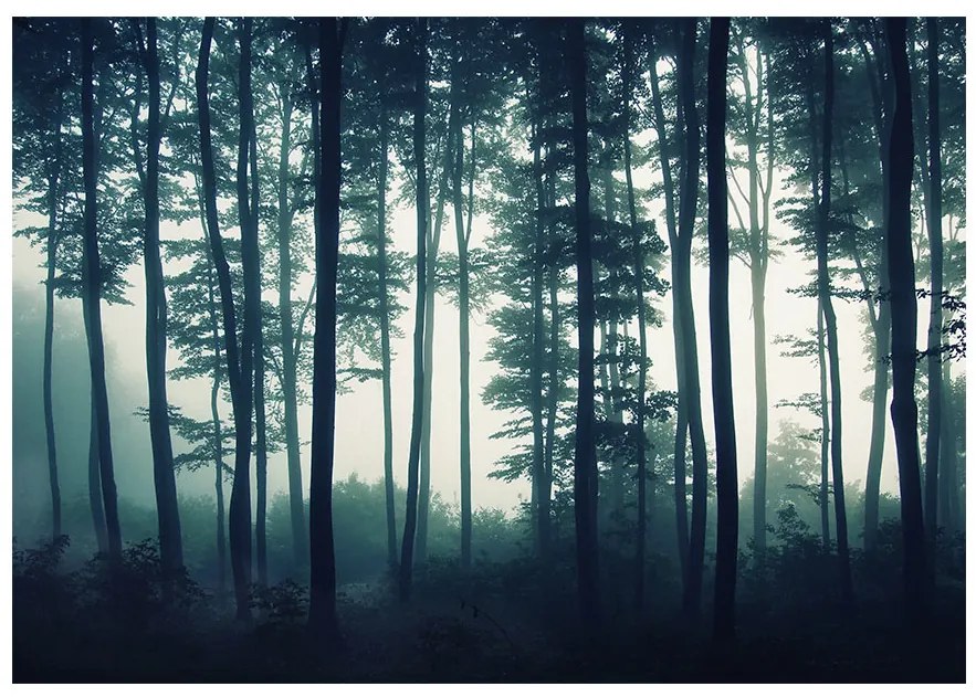 Artgeist Fototapeta - Dark Forest Veľkosť: 100x70, Verzia: Standard