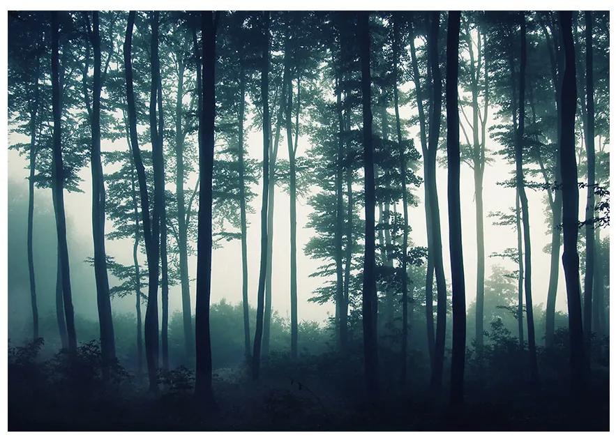 Artgeist Fototapeta - Dark Forest Veľkosť: 147x105, Verzia: Samolepiaca