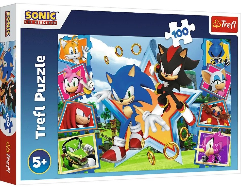 Trefl Puzzle Sonic Zoznámte sa s ježkom, 100 dielikov