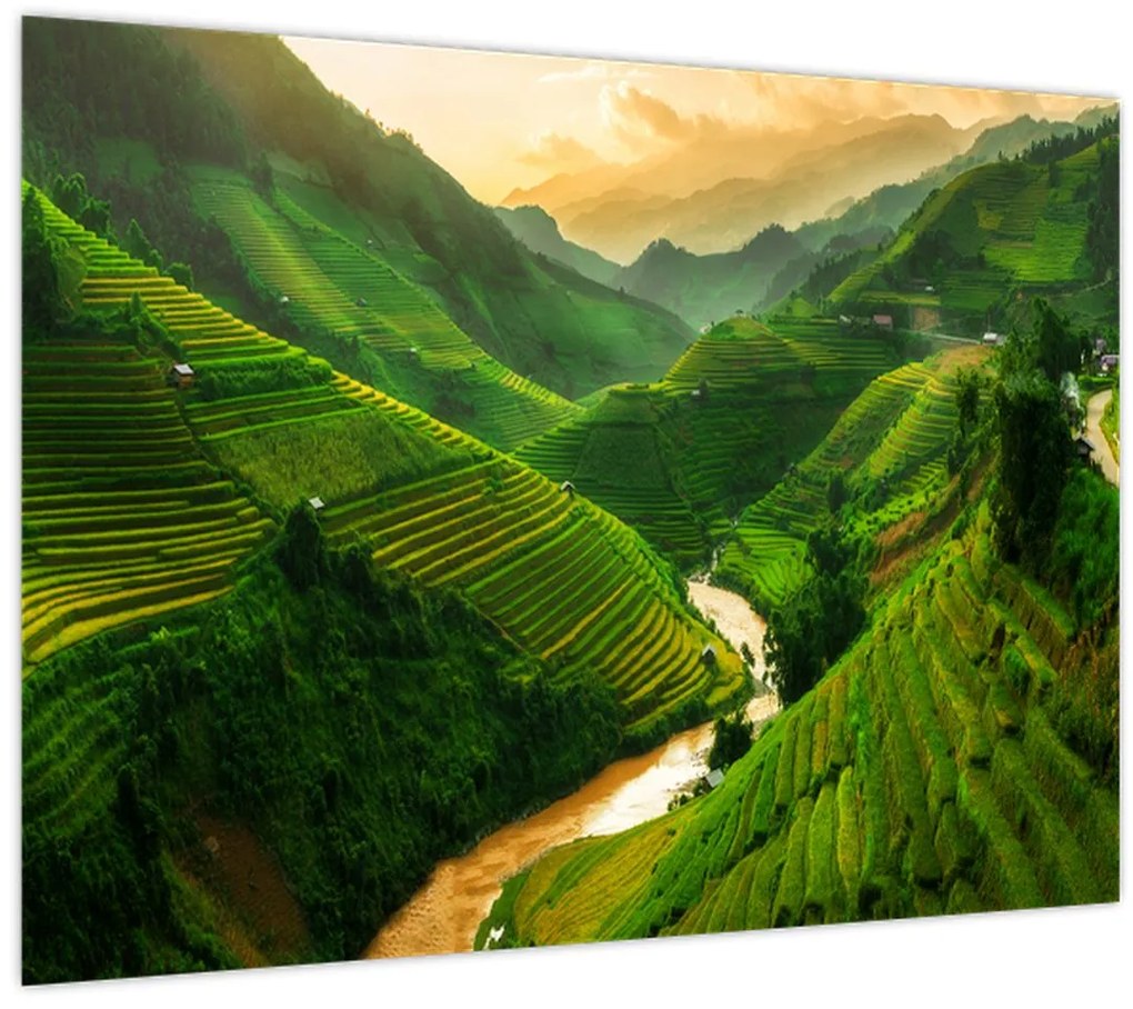 Obraz - Ryžové terasy Mu Cang Chai (70x50 cm)