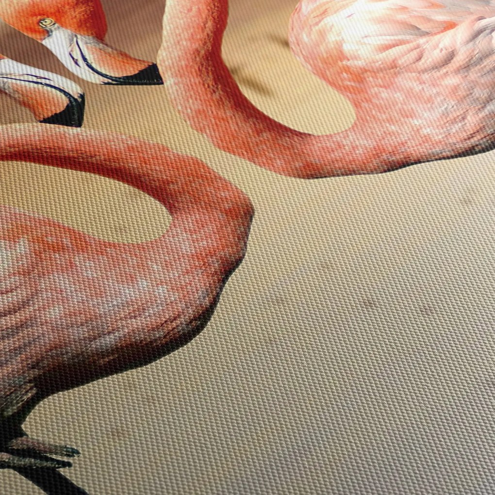 Obraz - dva plameniaky (150x105 cm)