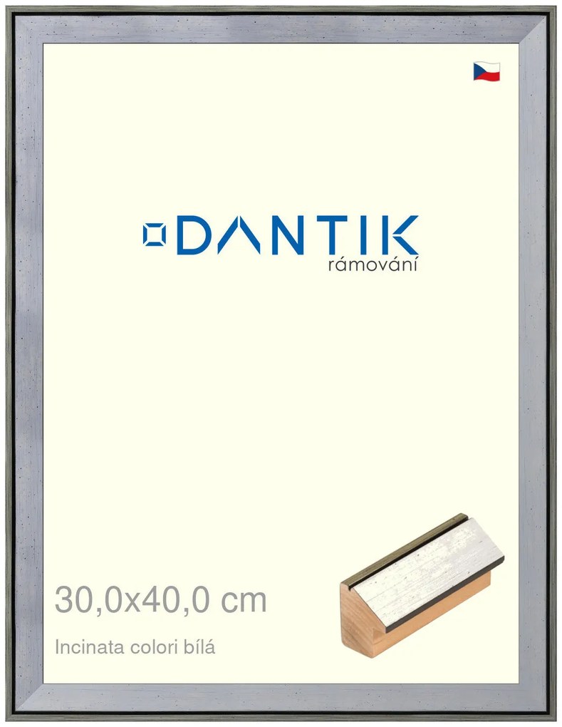 DANTIK rám na obraz 30x40 | INCLINATA colori Bílá (Plexi Čiré)