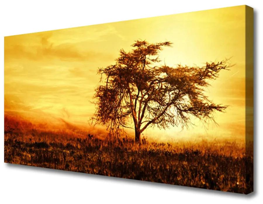 Obraz na plátne Strom príroda 120x60 cm