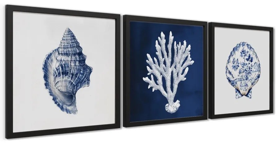 Obraz 30x30 cm Sea Treasure – Styler