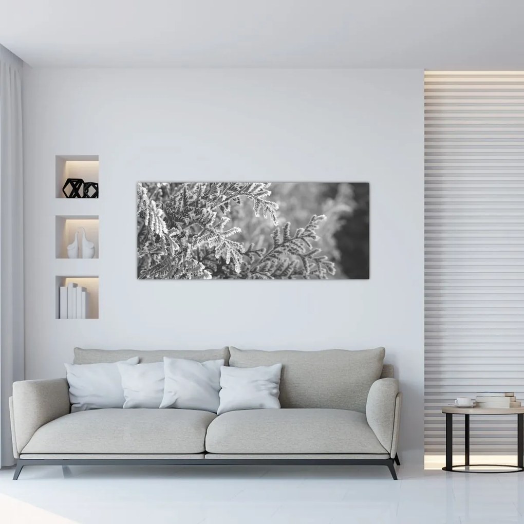 Obraz - Smrekový les (120x50 cm)