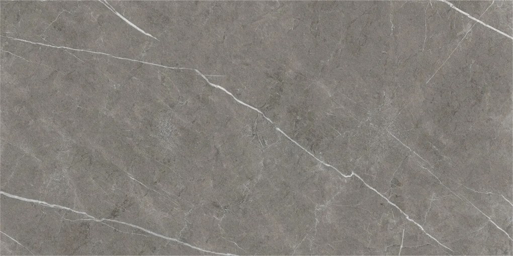 Dlažba Eternal Dark Natural 60x120 R