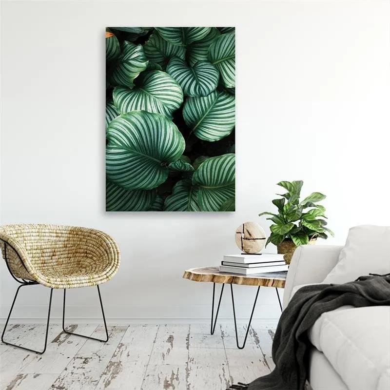 Gario Obraz na plátne Tropické listy Rozmery: 40 x 60 cm