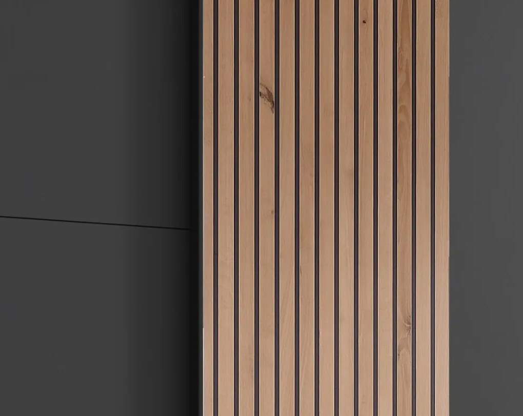 Šatníková skriňa Coburg, 180 cm, grafit/dub artisan