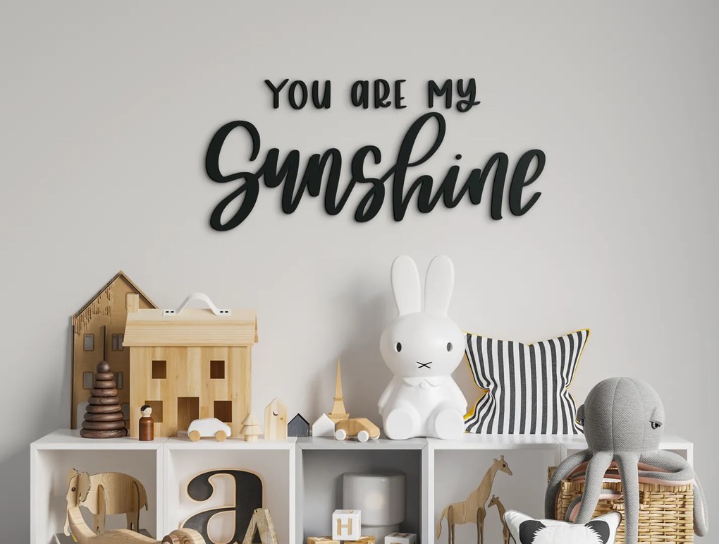 drevko Nápis na stenu You are my sunshine Rozmer obrazu: 19 x 42,5 cm, Farba dekorácie: Čierna