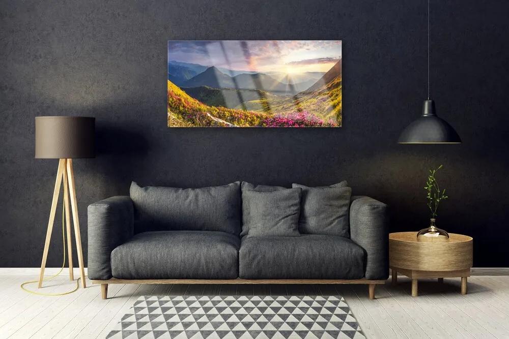 Skleneny obraz Hora lúka slnko krajina 100x50 cm