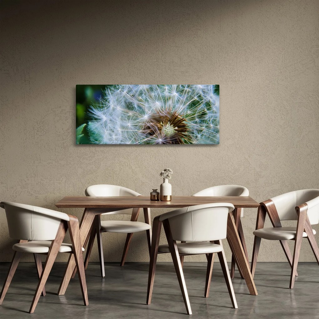 Obraz odkvitnutej púpavy (120x50 cm)