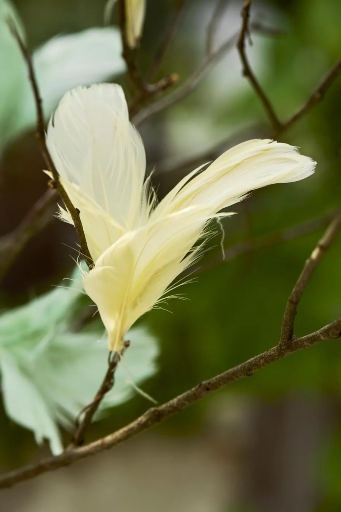 Závesné perie na drôtiku FEATHER DECOR - viac farieb
