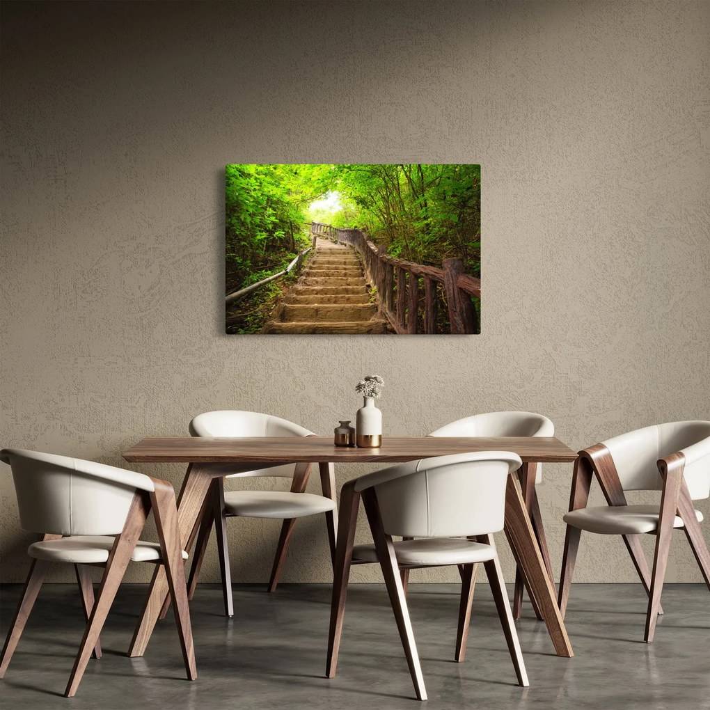 Obraz - Schody v prírode (90x60 cm)